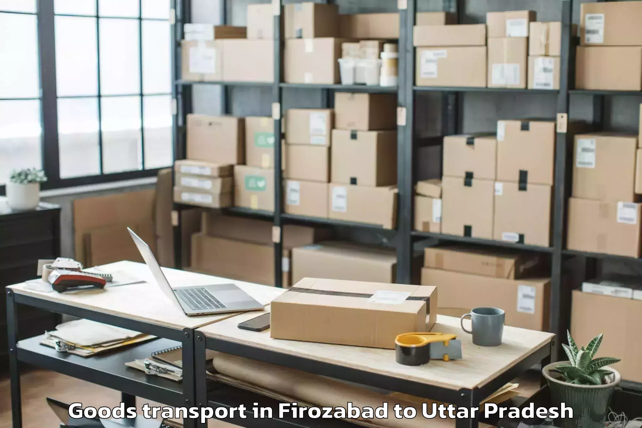 Professional Firozabad to Gursarai Goods Transport